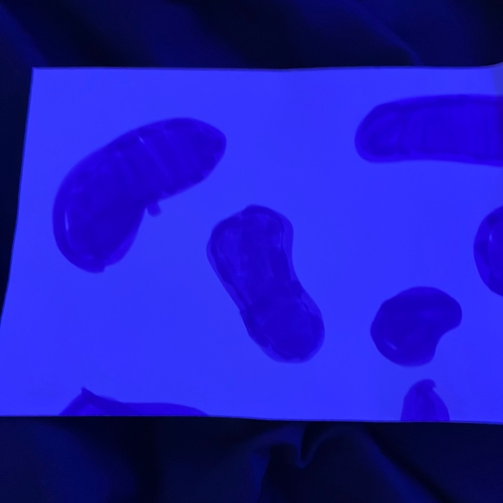 Cow nail print.